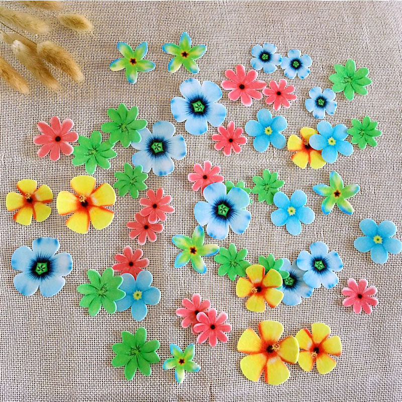 09 Fiori colorati 100