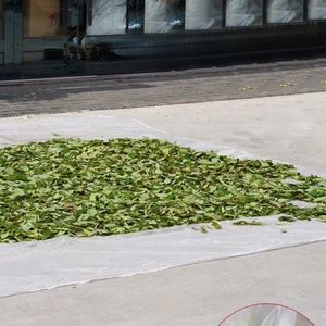 40 <strong>Mesh</strong> 22 <strong>square</strong> Meters Sun Drying Insect <strong>Net</strong> and Anti Bird Custom Size Wholesale High Quality HDPE Plastic <strong>Net</strong> White Green - Product Image 5