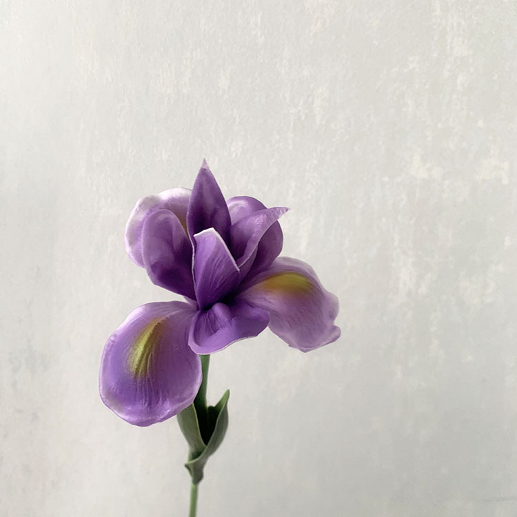 Bord violet