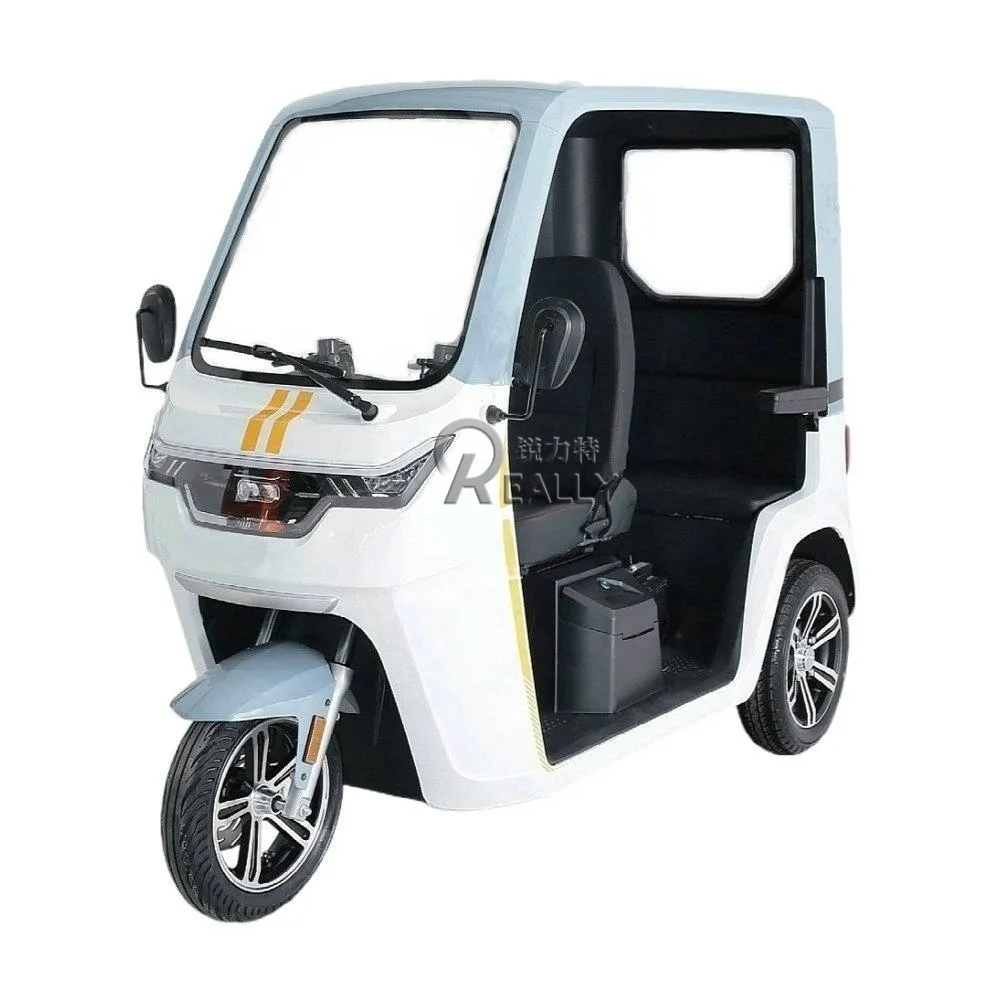 Tricycle électrique Offre Spéciale pour passagers 3 roues Tuk Tuk voiture grand espace personnes âgées Cargo pousse-pousse automatique avec cabine