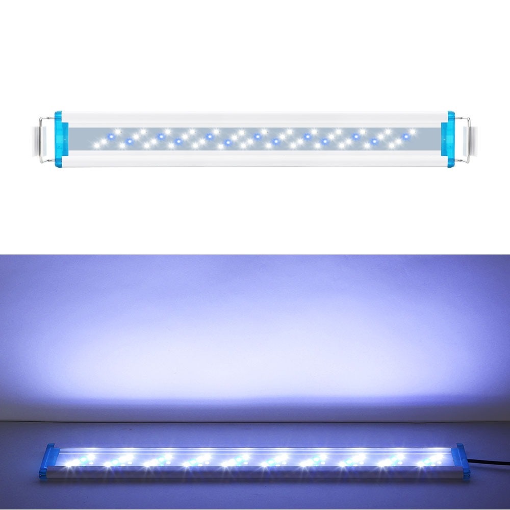 Blanc + Bleu
