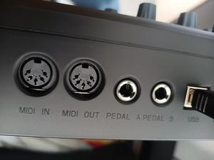 PANDA49 (Controlador MIDI) Sintetizador Plastic Music PANDAMINIc (Controlador MIDI)