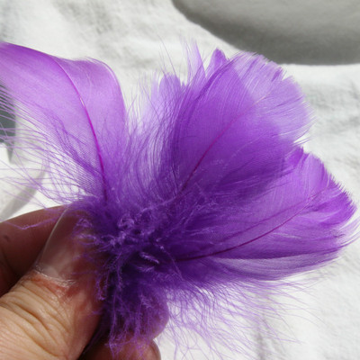 สีม่วงเข้มสดใส