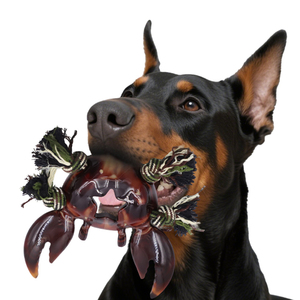 Halat karışımı ile sofistike çevre dostu köpek çiğnemek oyuncak dayanıklı naylon rahat tarzı ilgi çekici diş dostu ilham yengeç tasarım - Product Image 4