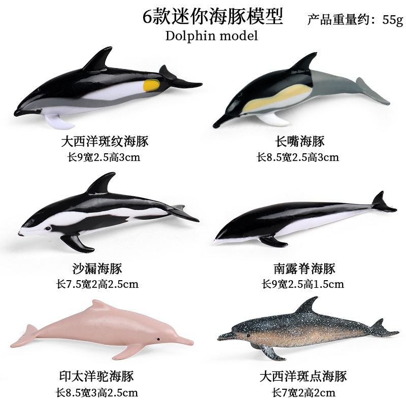 JCT MINI Dolphin 6ชุด