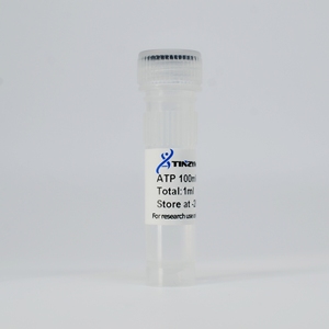 Tinzyme ATP 100mM โซลูชันคุณภาพสูงที่เชื่อถือได้อะเดโนซีน 5-ไตรฟอสเฟต (rATP) - Product Image 4