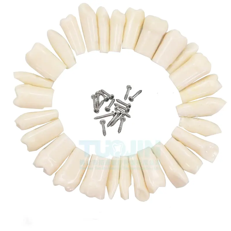 Dientes de resina Dentaduras dentales Dentadura flexible Resina dental Resina acrílica Dentadura dentadura Dientes postizos 3 juegos