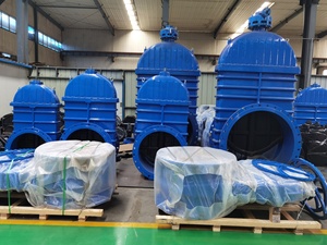 เหล็กหล่อ Pn16 DN900 NRS EPDM ลิ่มวาล์วประตูหน้าแปลนไฟฟ้านั่งยืดหยุ่น,วาล์วประตูลิ่ม,วาล์วประตูเหล็กหล่อ - Product Image 6