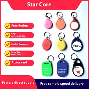 מלאי גישה במפעל כרטיס id keychain 125khz מיני rfid/nfc עבור מלון & נכס מגורים