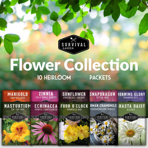 10คอลเลกชันที่มีสีสันและมีประโยชน์หลากหลายของดอกไม้สำหรับกระถางดอกไม้และเครื่องปลูกต้นไม้ของคุณ - Product Image 3