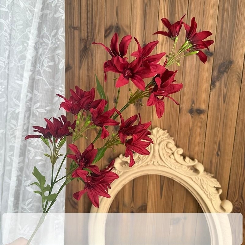 orchidée