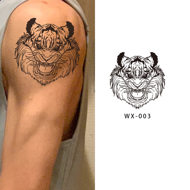 WX-003