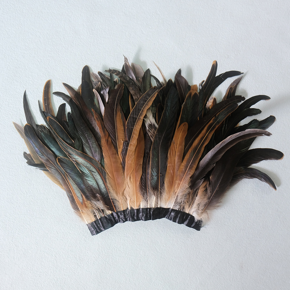 Plumes de coq naturelles