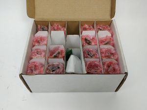 工業用オートメーションPLCプログラミングコントローラ,新しいオリジナルである68677793 - Product Image 6