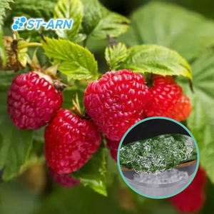 Plantwaterretentiongel Resina Polímero Estabilizador del suelo Hidrogel Biodegradable Agro para cultivo de vegetales - Product Image 5