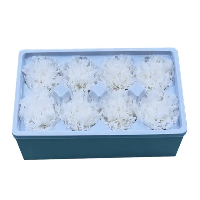 Grosir 4-6 Cm Diawetkan Carnation Kepala Kering Sentuhan Nyata Bunga Di Dalam Kotak untuk Rumah Pernikahan Dekorasi