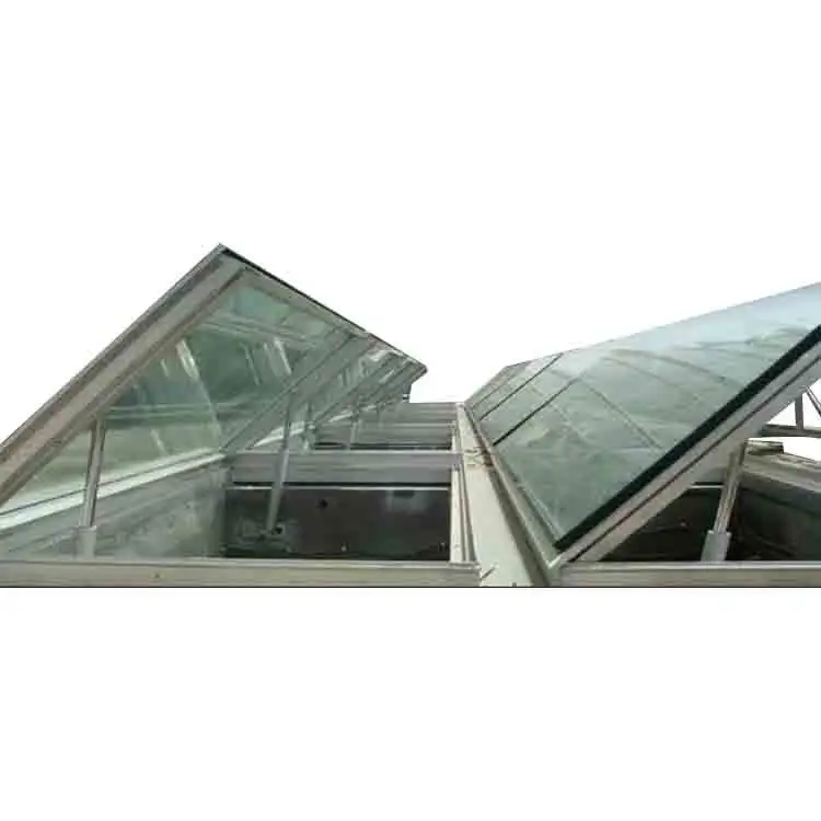 특별 디자인 플랫 플라스틱 돔 천창 중국산 경사 지붕