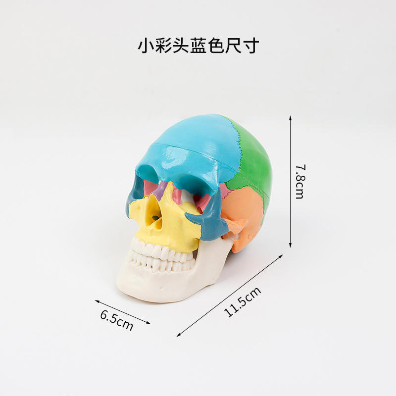 Petit porte-bonheur - bleu