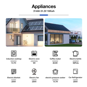 51.2V 300Ah 15kWh 314Ah 16kwh batteria a energia solare IP54 struttura modulare impermeabile guida al credito d'imposta del programma per ordini all'ingrosso