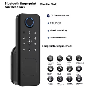 Elektronik dijital kapı kilidi alüminyum biyometrik parmak izi anahtarsız giriş Tuya Ttlock sürgü akıllı kilit - Product Image 2