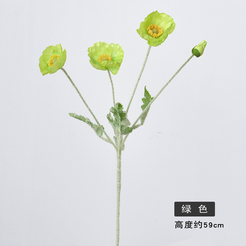 Vert