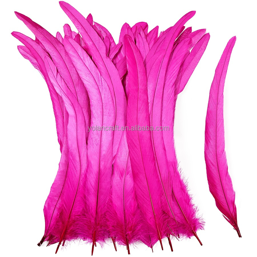 Rose vif