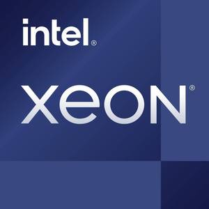 Intel®Xeon®E E-2378 8x2,6 ГГц Восьмиядерный процессор (ЦП) лоток сокет (ПК): Intel®LGA 1200 65W (940910714624) - Product Image 1