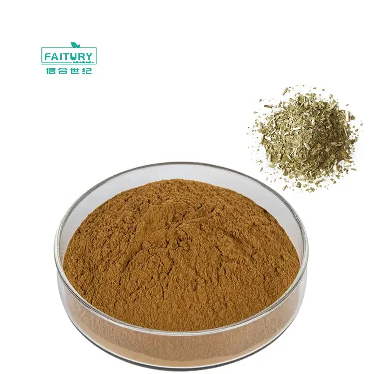 halal kosher Saint Bartholomew's Tea Extract Ilex Paraguariensis Extract 10:1 Caffeine 4% Yerba Mate Extract Powder