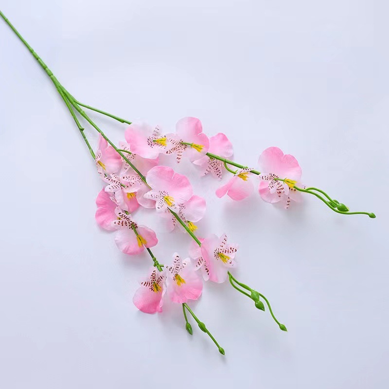 Orchidée dansante courte rose