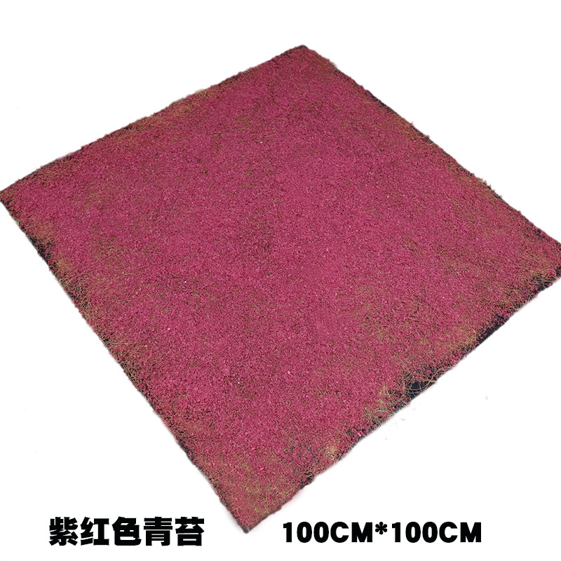 Mousse rouge pourpre (environ 1*1m)