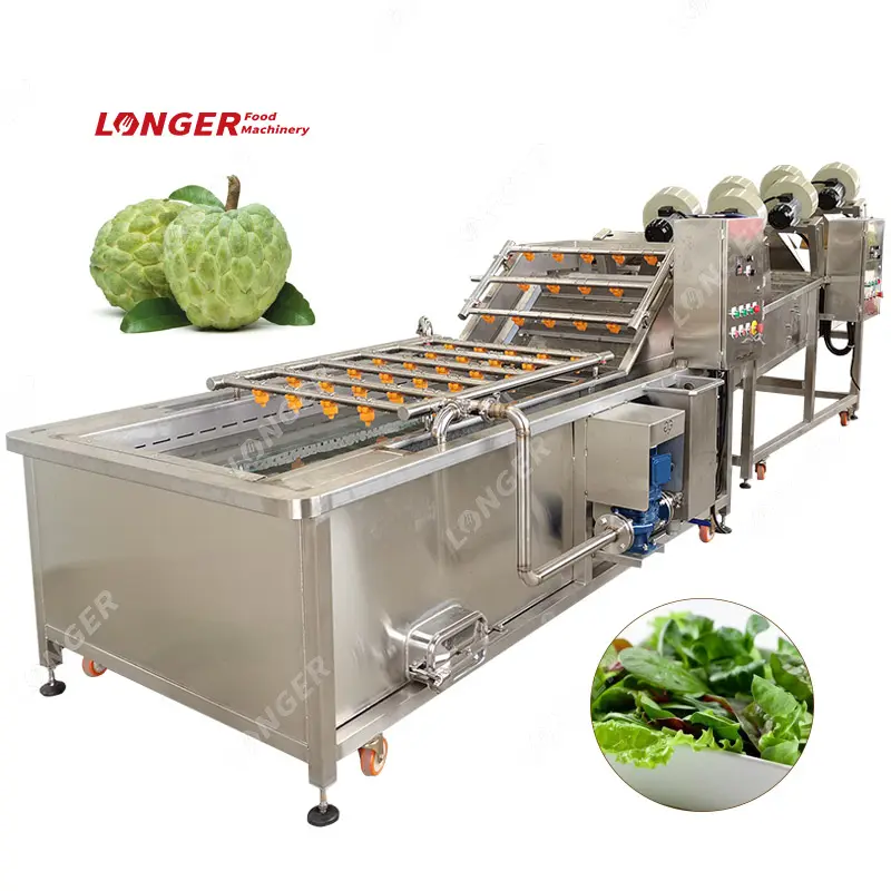 Henan Lieferant Ozon Bubble Custard Apfel und Salat Wasch trocknungs linie Maschine Obst & Gemüse Wasch geräte