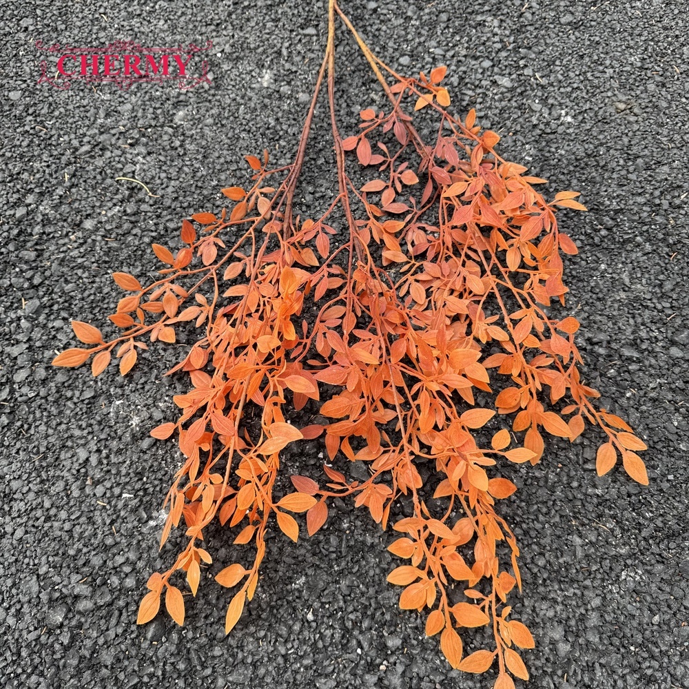 #11 Nandina d'automne, plante verte - 110 cm