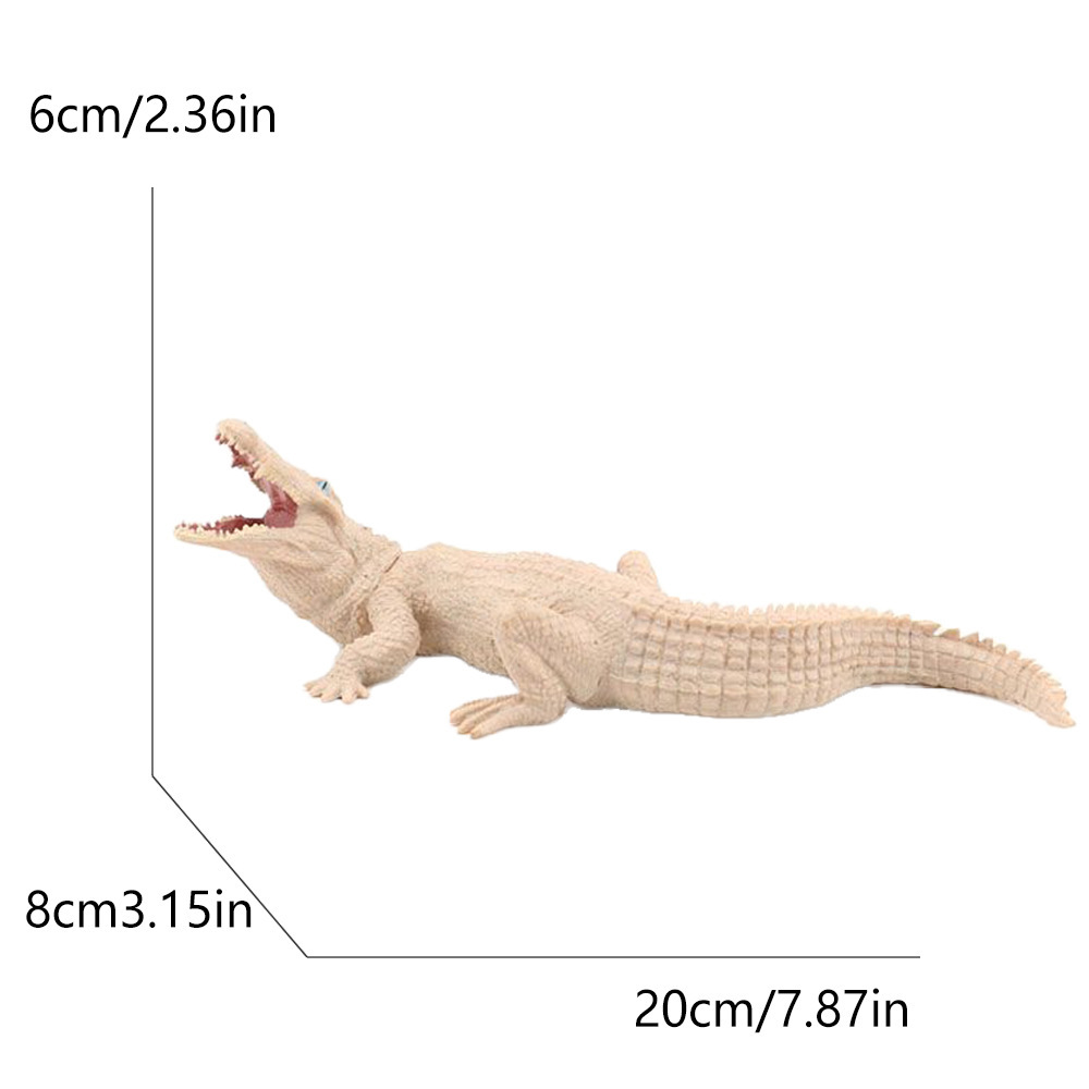 121m white crocodile-1399g
