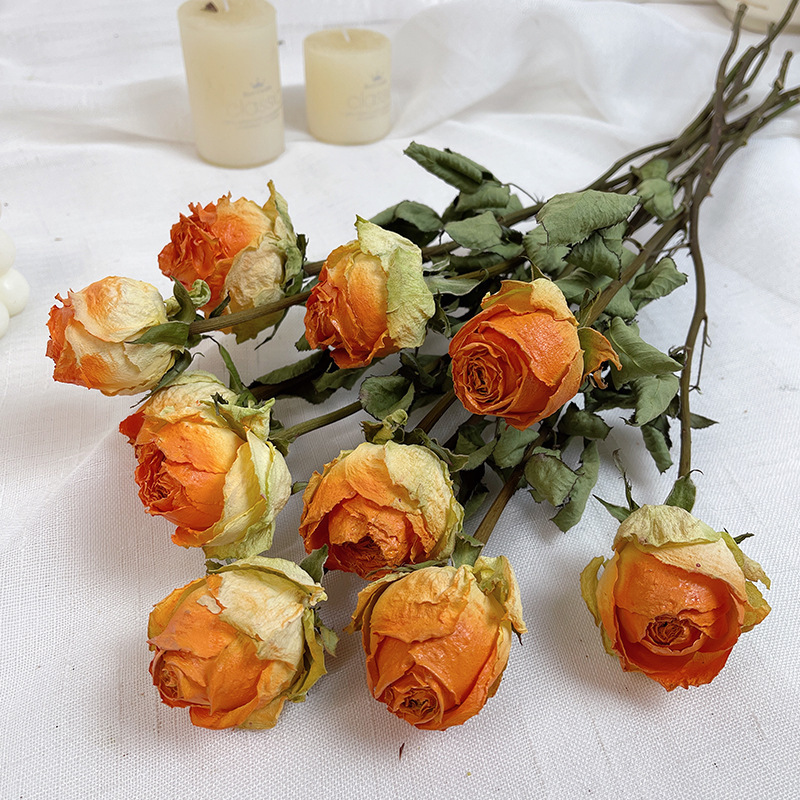 Frantumazione ghiaccio rose arancioni 10 pz