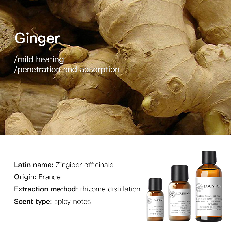 Gingembre (France) 10ml