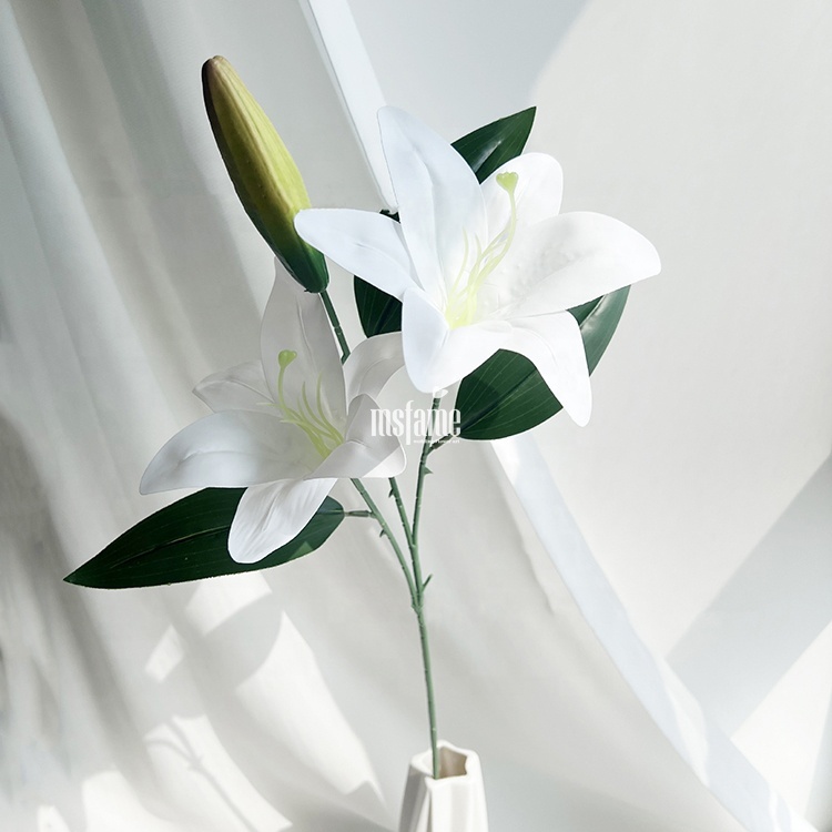 Blanc