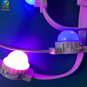 Impermeabile Full-Color RGB Smart WS2811 programmabile moduli LED luce Pixel per la pubblicità e la decorazione di natale - Product Image 5