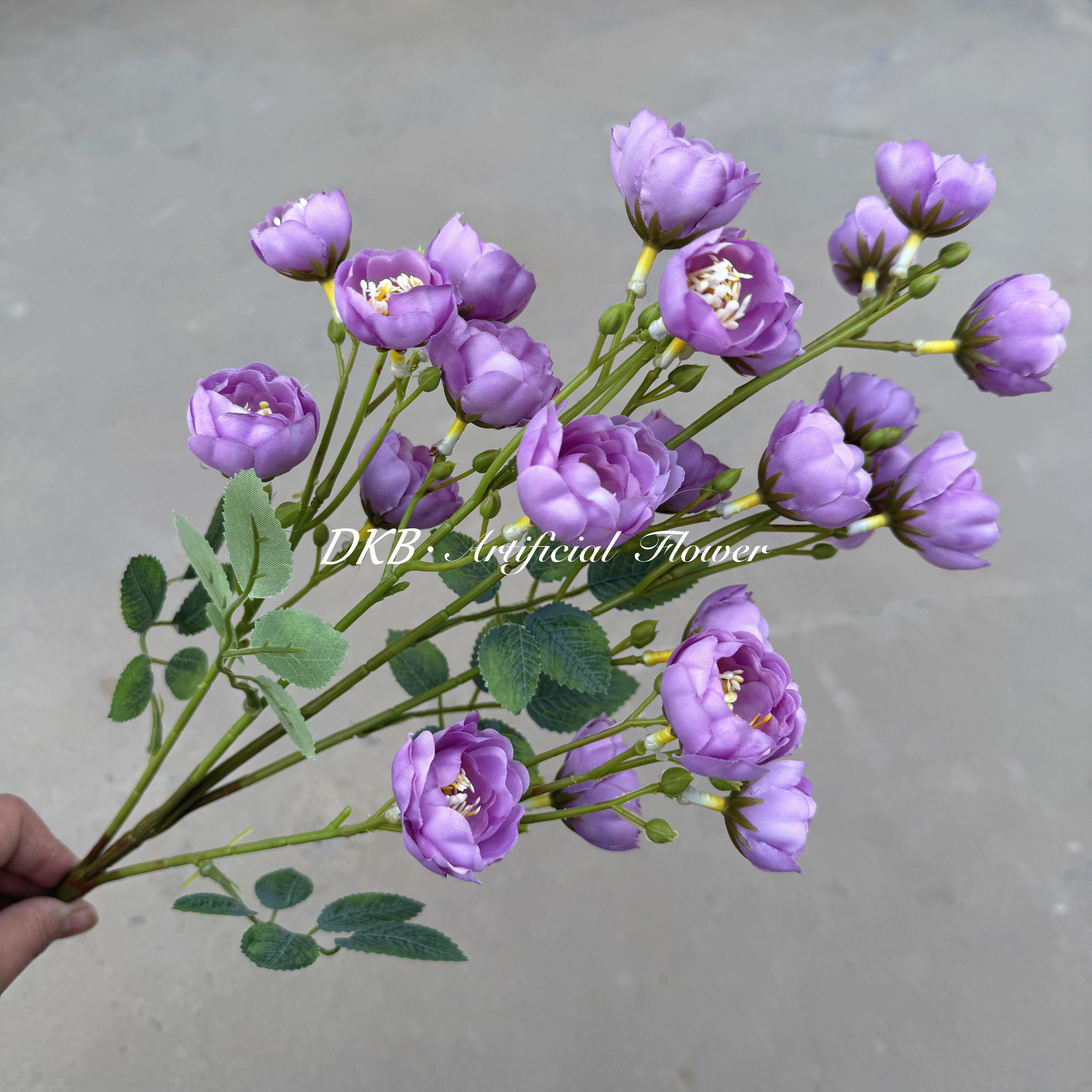 รหัสสินค้า: GCDZ001