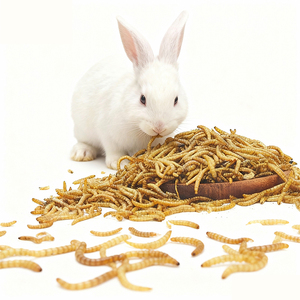 Atacado De Alta Qualidade Amarelo Seco Mealworm, Mealworms Comestíveis para Alimentação De Animais - Product Image 2