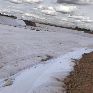 Materiale ad alta densità di geotessile in poliestere corto in fibra di geotessile Non tessuto perforato ad ago per le applicazioni di base e di drenaggio - Product Image 6