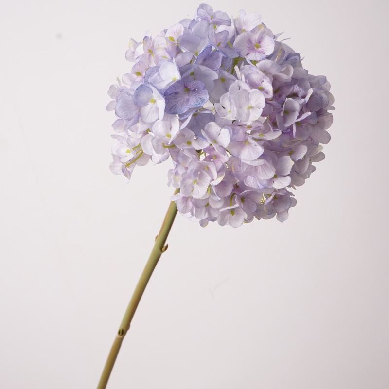 Ortensia olandese ramo grande - viola chiaro