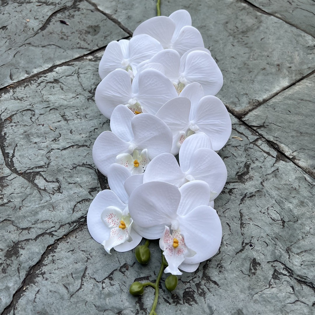 N°2 Blanc