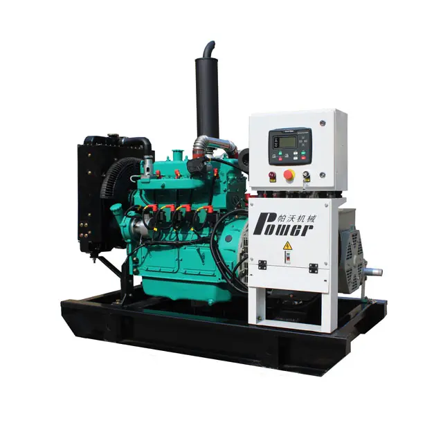 50kw natural gas generator Factory price Biogas and natural gas generator sets