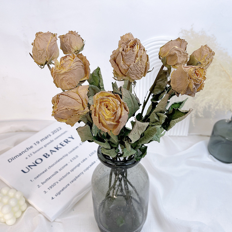 10 rose capsicine