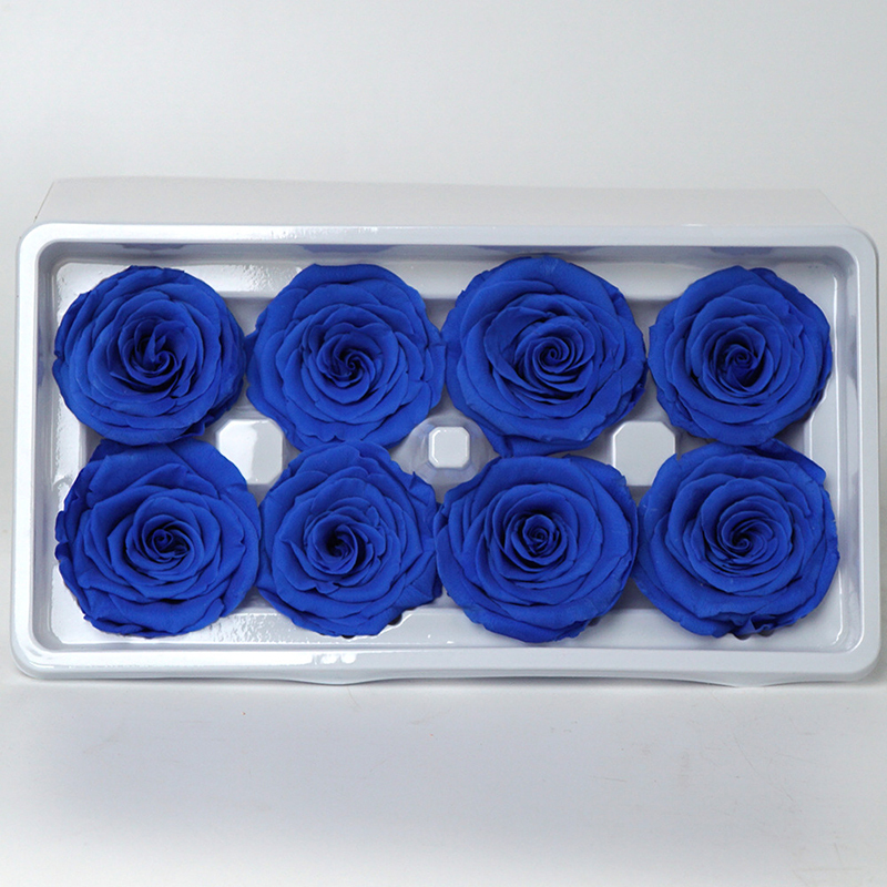 azul real