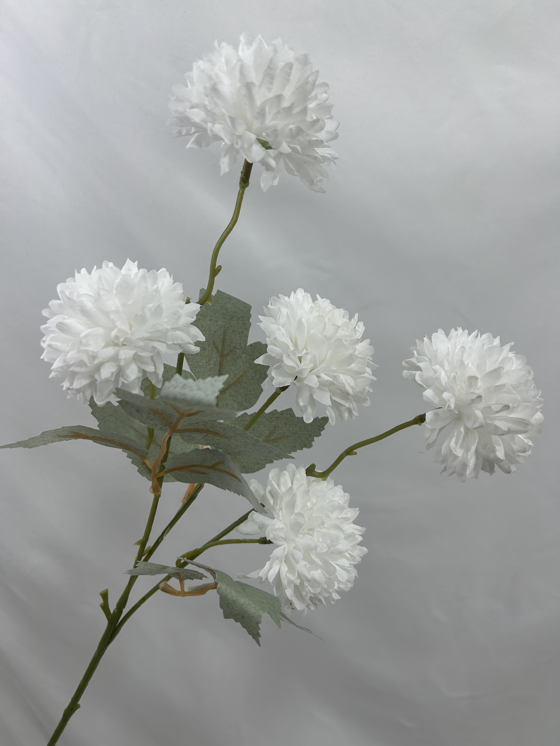 blanc pur