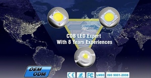 3.8-4.2V 700mA LED Bridgeluxชิป220lm/W 4000K - Product Image 6