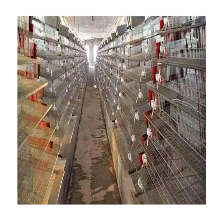 steel cages for quail with high repurchase rates quail cages