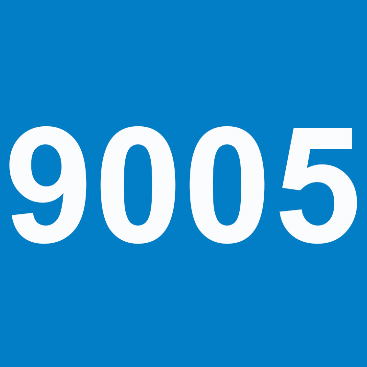 9005