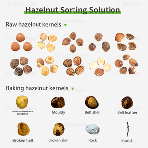 WESORT 6SXZ-68 Colour Sorter Manufacturer Food Processing Machinery Optical Smart <strong>Nut</strong> Walnut Hazelnut Colour <strong>Sorting</strong> <strong>Machine</strong> - Product Image 3